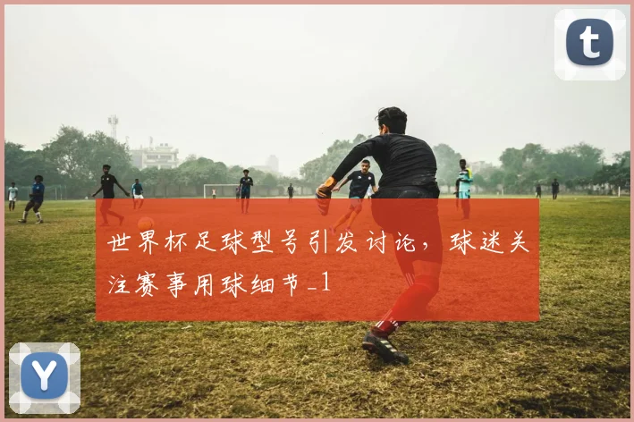 世界杯足球型号引发讨论,球迷关注赛事用球细节_1