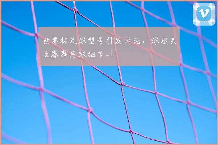 世界杯足球型号引发讨论，球迷关注赛事用球细节_1